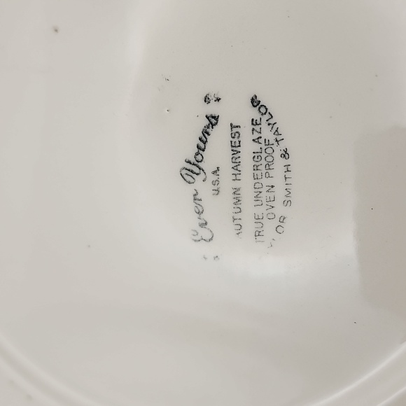 Autumn Harvest Dinner Plate, Ever Yours, Vintage Taylor Smith &Taylor - Picture 3 of 3